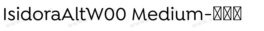 IsidoraAltW00 Medium字体转换